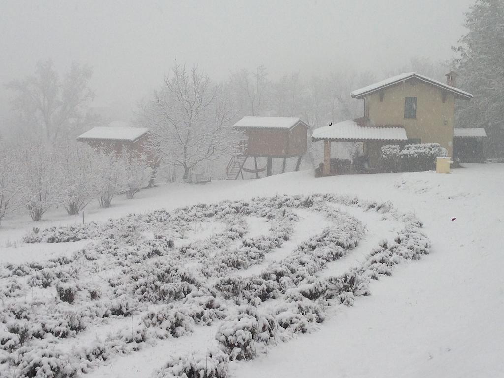 Ecolodge Langhe Cherasco Eksteriør billede