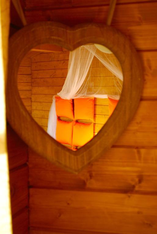 Ecolodge Langhe Cherasco Værelse billede